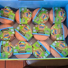 Crazy Fun RMS Capybara Edition Mystery DUMPLING Lot 12 picture