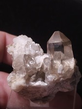 ☆Gorgeous Citrine On Rare Twinned Albite Fro Placerville California☆ picture