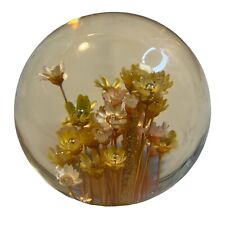 DAISYGLAS Lucite Dried /White Daisy Flowers Acrylic Paperweight Round Retro picture