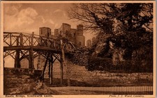 c1905 Rustic Bridge Kenilworth Castle Ruins Warwickshire UK Postcard picture