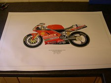 Ducati 996SPS WORLD SUPERBIKE (carl foggarty) posters  picture