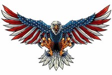 AMERICAN BALD EAGLE US FLAG WINGS 29