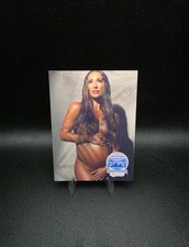Leah Van Dale #2 Hedonism Series eXcess Collectibles Custom Card picture
