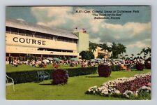 Hallandale FL-Florida, Gulfstream Park, Track by the Sea Vintage Postcard picture