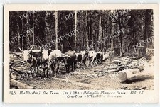 RPPC Pete McMartin's Ox Team in 1890 Logging Arlington, WA 1920s Photo Postcard picture