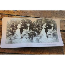 Antique 1897 B.W. Kilburn Stereoview In The Sweet Dim Light Of The Falling Night picture