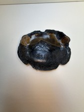 Vintage Antique Mt Hood Oregon Metal Tray Relief Mount Fuji 1900 picture