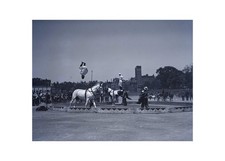 1921 Sells Floto Circus Boston South End Acrobat Original Press Glass Negative picture