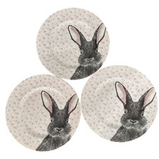 Royal Stafford Chintz Rabbit Pink Dinner Plates Set Of 3 picture
