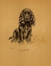 1940 Antique Cocker Spaniel Print Lucy Dawson Cocker Spaniel Illustration  7050j picture
