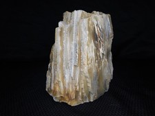 Excellent Quality Pure Agate Limb Cast 5lbs. 2oz. Central WA Vintage picture