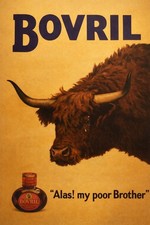 Premium Bovril Vintage Ad Poster - 12x18 Print 200GSM picture
