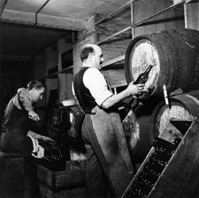 Wine tasting c1950s c1960s Historic 1960s Old Photo picture