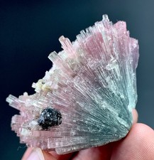 Bi Colour Tourmaline Crystal From Afghanistan 250 Carat picture