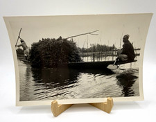 Vintage Photo Kashmiri Men Harvesting Reeds Dal Lake India Wooden Boat Shikara picture