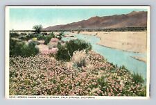 Palm Springs CA- California, Sand Verbena Along Tahquitz Stream Vintage Postcard picture