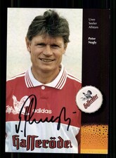 Peter Nogly Hamburger SV autograph card original signed + A 255471 picture