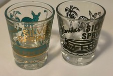 2 Vintage 1970s Vintage Silver Springs Florida Souvenir Shot Glasses picture