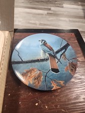 Majestic  Bird  American Kestrel 1989 Collectors Plate Daniel Smith Artist picture