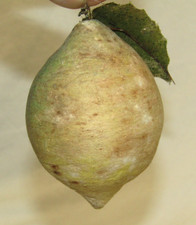 Vintage Christmas Ornament German Antique Green Spun Cotton Pear Fruit 1930s picture