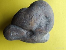 Prehistoric Feces Dinosaur Dung Poop crap Dino turd 265 gram 🦕 picture