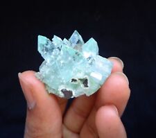 Green Apophyllite Crystals Minerals Specimen picture