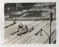 German Prisoners of War Sun Tanning 1943 Angel Island CA POW WWII Photo J15334 picture