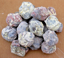 Two Pounds, 10-15 Whole Dugway Geodes • 1.5