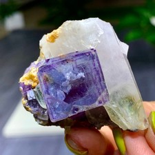68G Natural Crystal Purple Blue fluorite+ white sample/Yaogang Xian picture