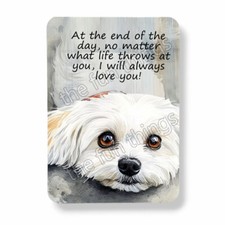 Maltese Dog Magnet I'll Always Love You Graphic Watercolor Art Print 3