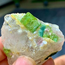 48G Natural green tourmaline quartz crystal cluster mineral specimen picture