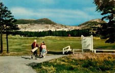 Postcard Canada Baly Haly Golf Course Newfoundland Unposted picture