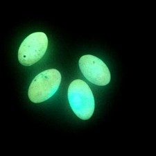 1pc Glow In The Dark Natural Luminous Stone Lucky Tibetan Wealth-God Ancient Art picture