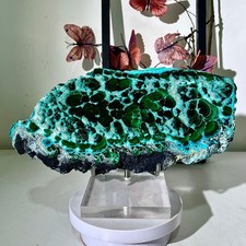 3.44LB Natural polyophthalmic Silicon malachite crystal gloss mineral specimen picture