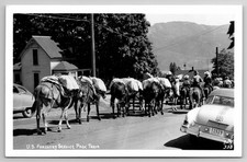 RPPC US Forestry Service Pack Train Washington - Photo Postcard 1950s picture