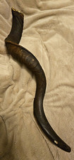 Yemenite Kudu African Shofar XXL 42
