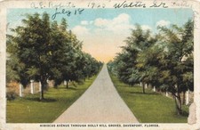 c1920s Hibiscus Avenue Holly Hill Groves Davenport Florida FL  P393 picture