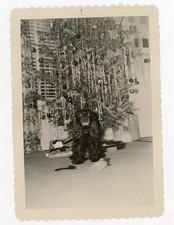 Skippi Cocker Spaniel Christmas Tree 1952 Curtis Scrapbook picture