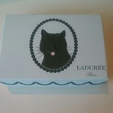 Laduree Empty Box Cat picture