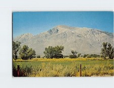 Postcard Mt. Tom Northern Owens Valley California USA picture