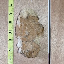 WELL USED AUTHENTIC ARKANSAS STEMMED SPEAR DAMAGED ARTIFACT KNIFE ARROWHEAD TOOL picture