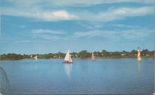 Postcard Woodlawn Lake San Antonio Texas TX  picture