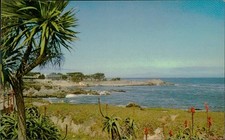 Pacific Grove Monterey CA Unposted Vtg Scenic Postcard Plastichrome Don Ceppi picture