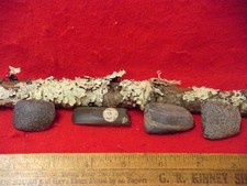 RARE NATIVE AMERICAN SET OF FOUR MINIATURE EFFIGY CELTS - HOKE C0.  N. CAROLINA picture