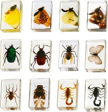 12 Pcs Insect in Resin Collection Educational Bugs Specimen Set, for Home De... picture