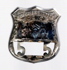 Vintage Seagate N.Y. Harbor Police Badge picture