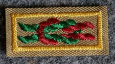 BSA Arrow of Light Award Square Knot - Scouting America - Current Issue picture