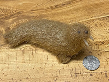 Vintage Walrus Stuffed Miniature Animal 5