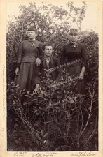 Cabinet Card Unique Composition Outdoor Scene Brother Sister Friend Crisp 1887 picture