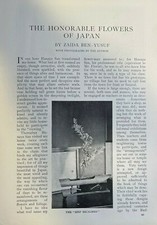 1907 Honorable Flowers of Japan illustrated picture